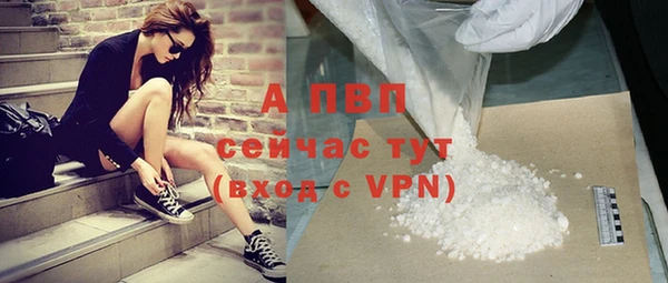 сатива Алексеевка