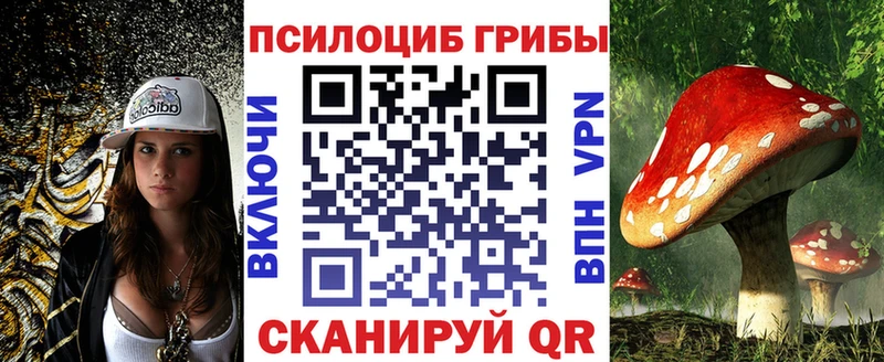 наркотики  нарко площадка телеграм  ссылка на мегу маркетплейс  Галлюциногенные грибы Psilocybe  Саров 